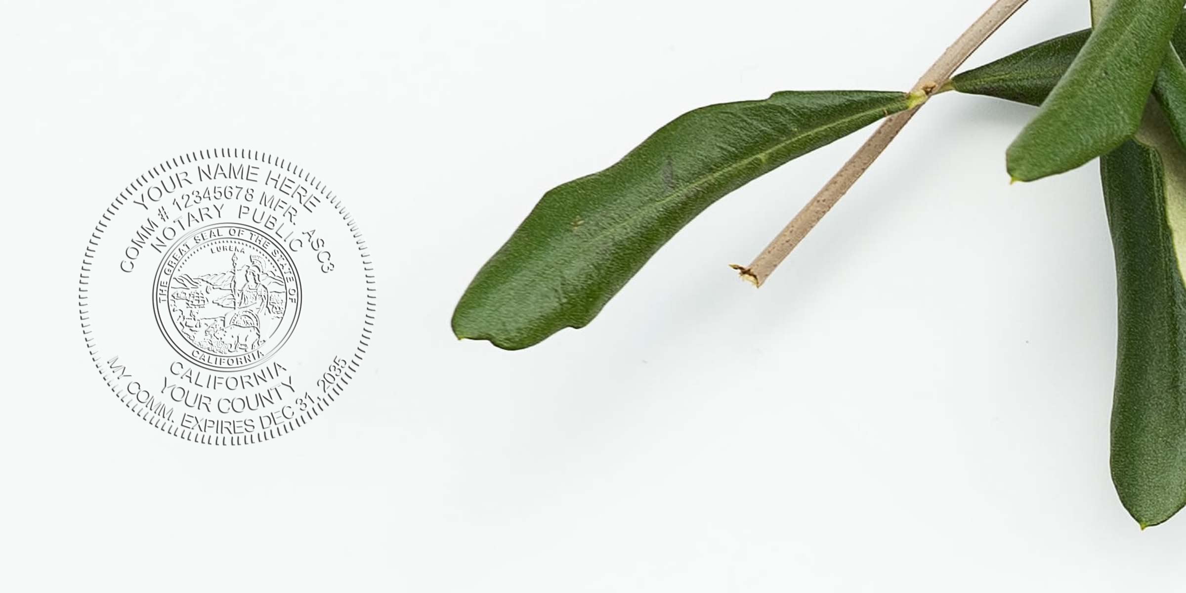 California notary public seal stamp with green leaves on white background, perfect for affordable notary supplies and California notary kits.