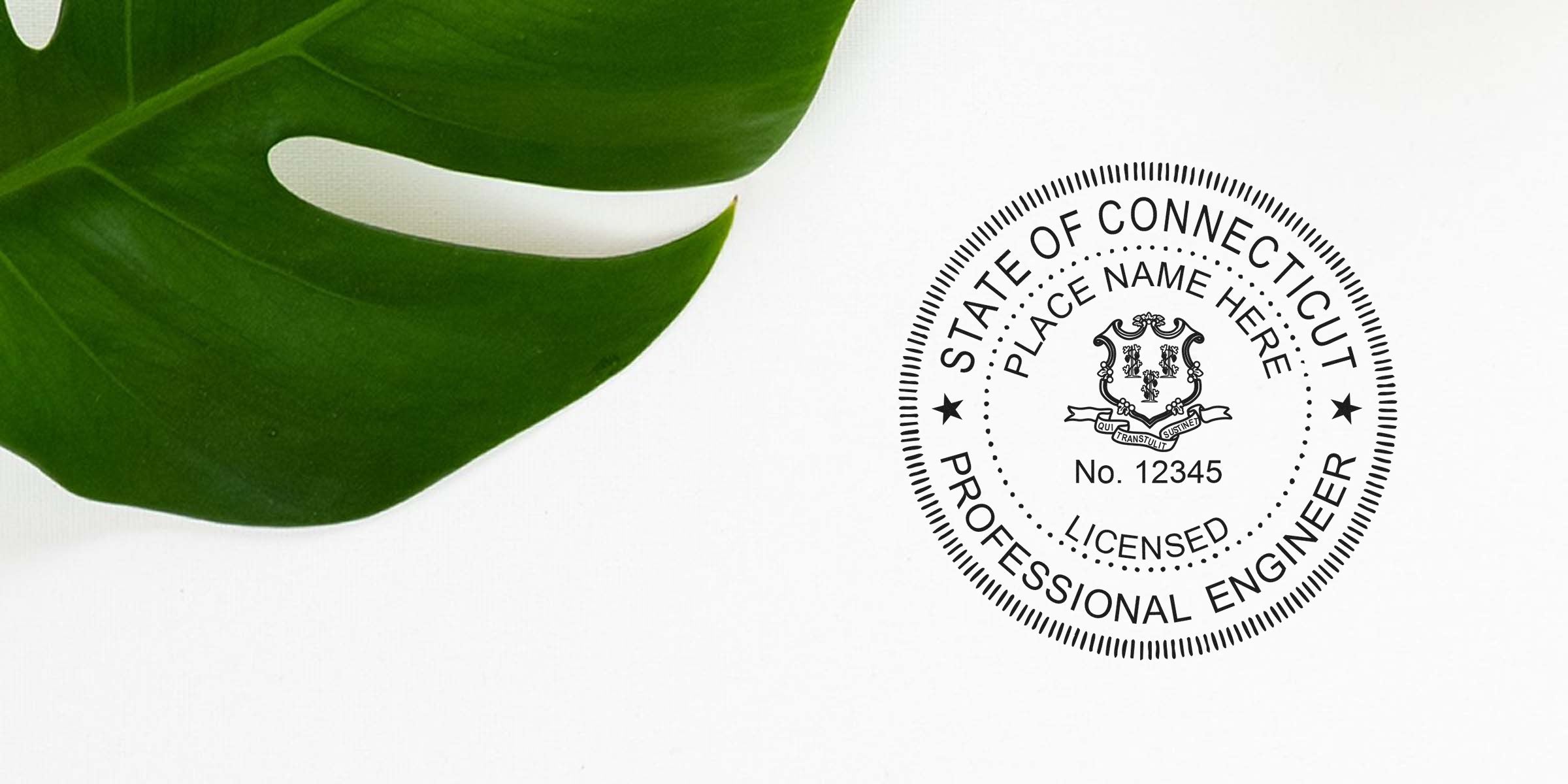 Connecticut PE stamp with a professional engineer seal and a green leaf on a white background.