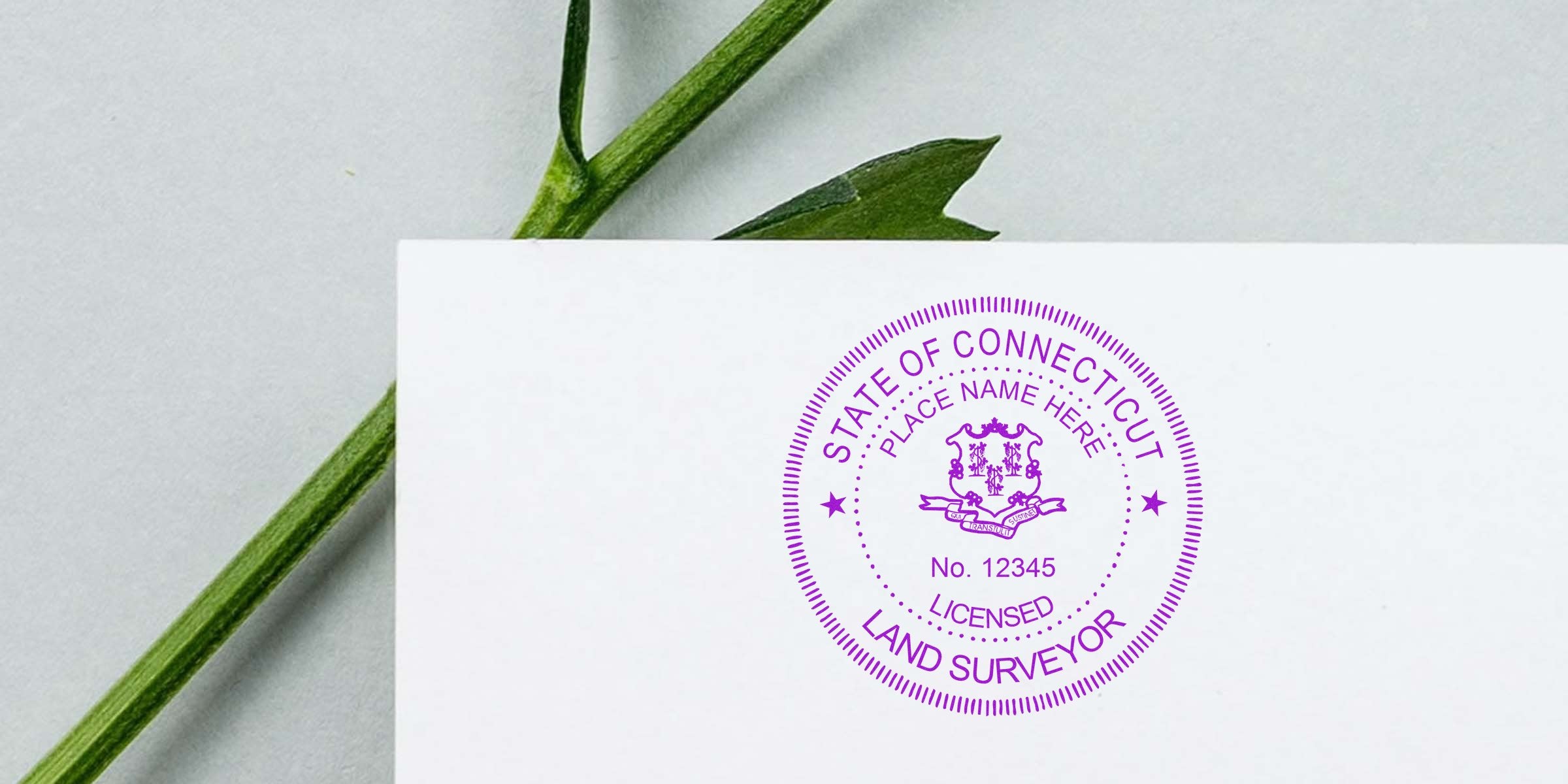 Connecticut licensed land surveyor seal template on white paper with green leaf background, showcasing a trusted land surveyor seal design.