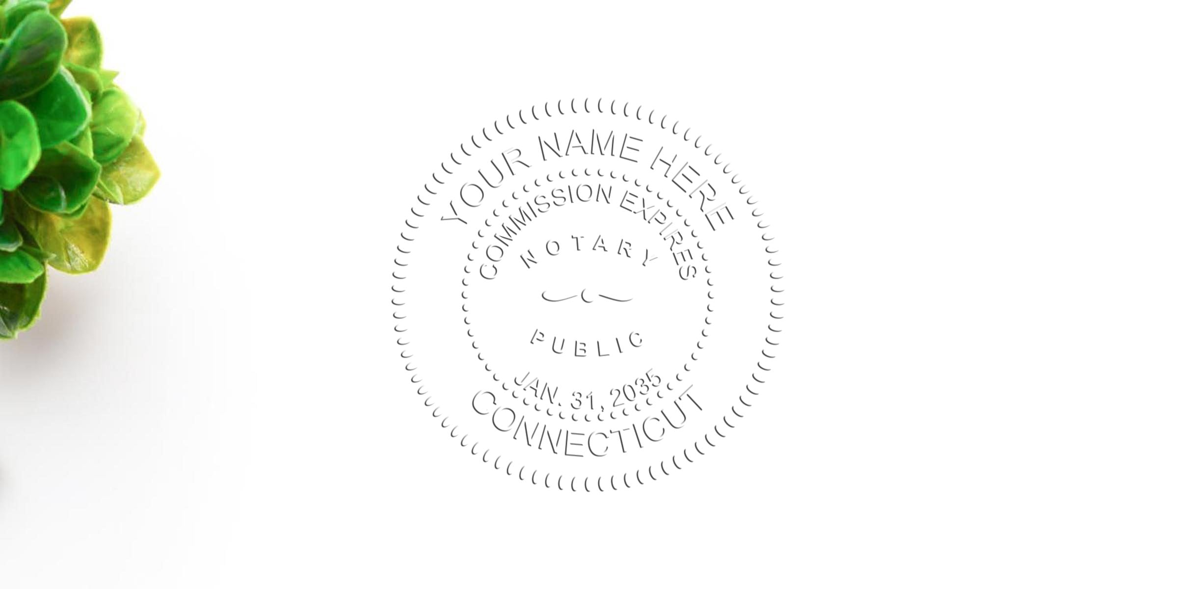 Connecticut notary public stamp with commission expiration date next to a green plant on white background, highlighting notary seal expiration and renewal in Connecticut.