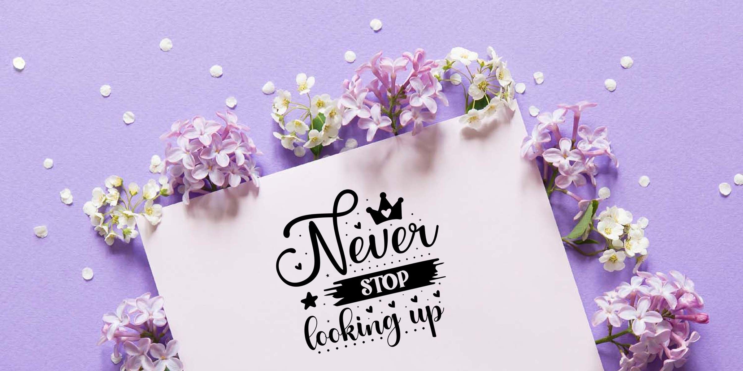 Lavender floral flat lay with lilac blossoms, white petals, and a pastel card reading “Never Stop Looking Up” in decorative lettering