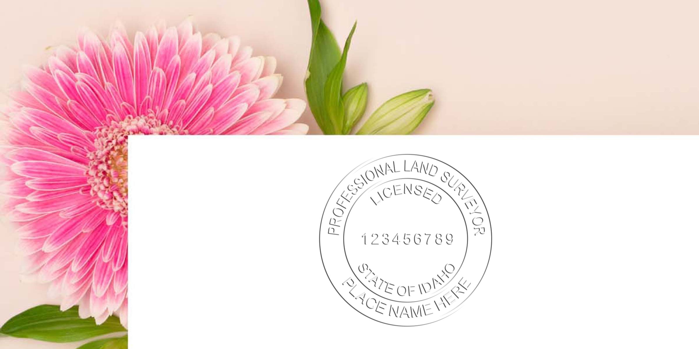 Pink gerbera flower with Idaho land surveyor licensed seal, showcasing Idaho land surveyor stamp laws and requirements on a white background.