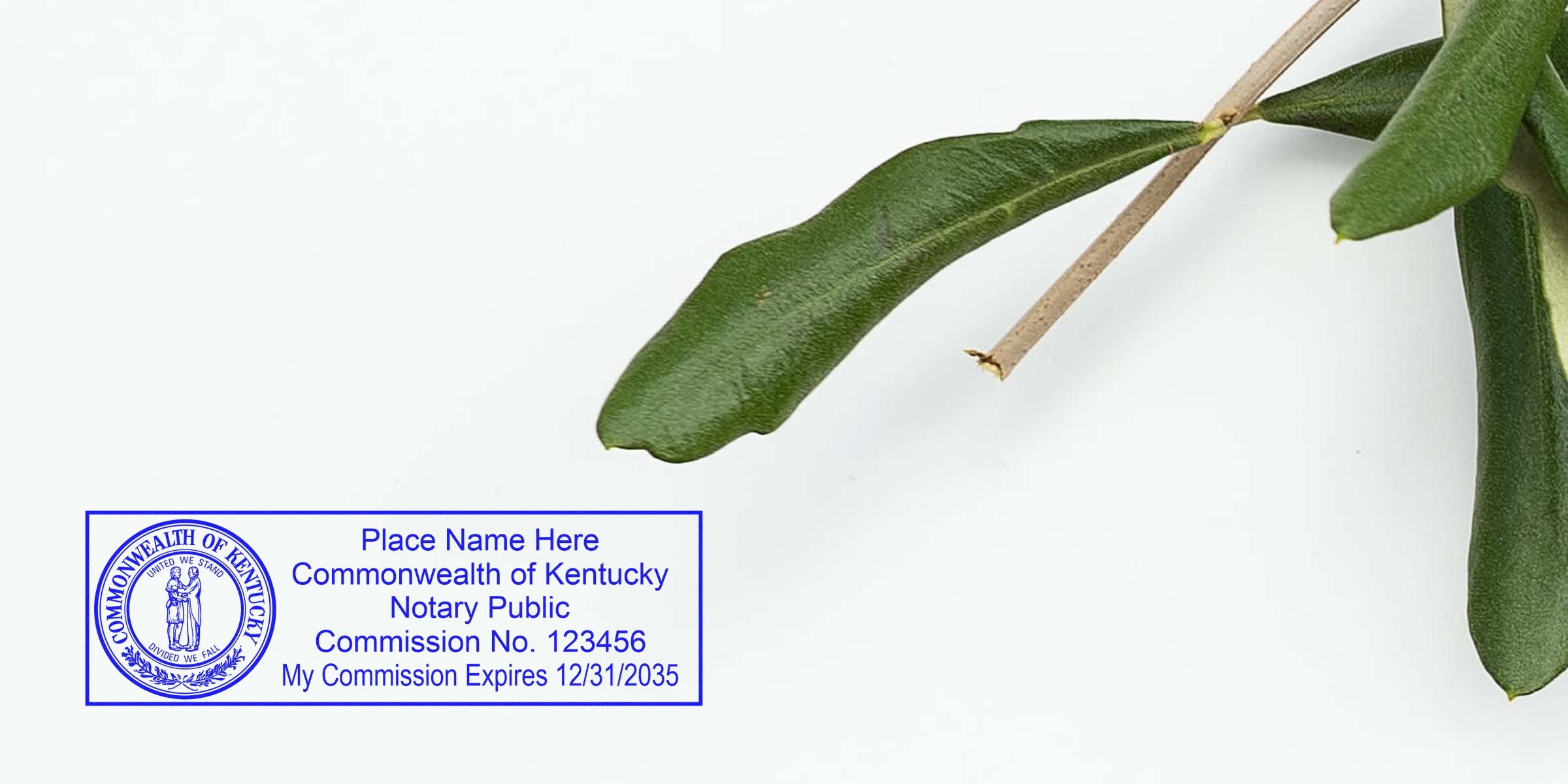 Kentucky notary public stamp showing commission number and expiration date on white background with green leaves, illustrating Kentucky notary stamp format and sample.