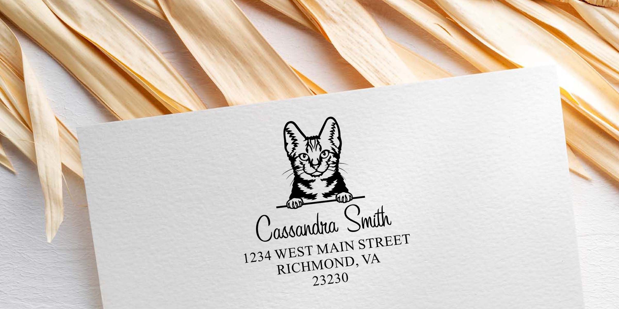 Personalized white envelope with cat logo, Cassandra Smith name, and Richmond, VA address on a beige botanical background