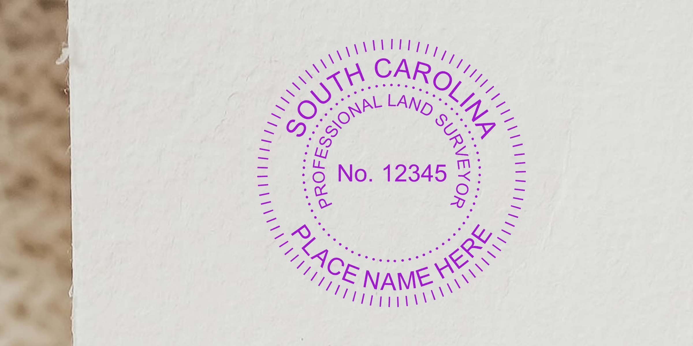 South Carolina land surveyor stamp with professional license number on white background, referencing land surveyor stamp size guide.