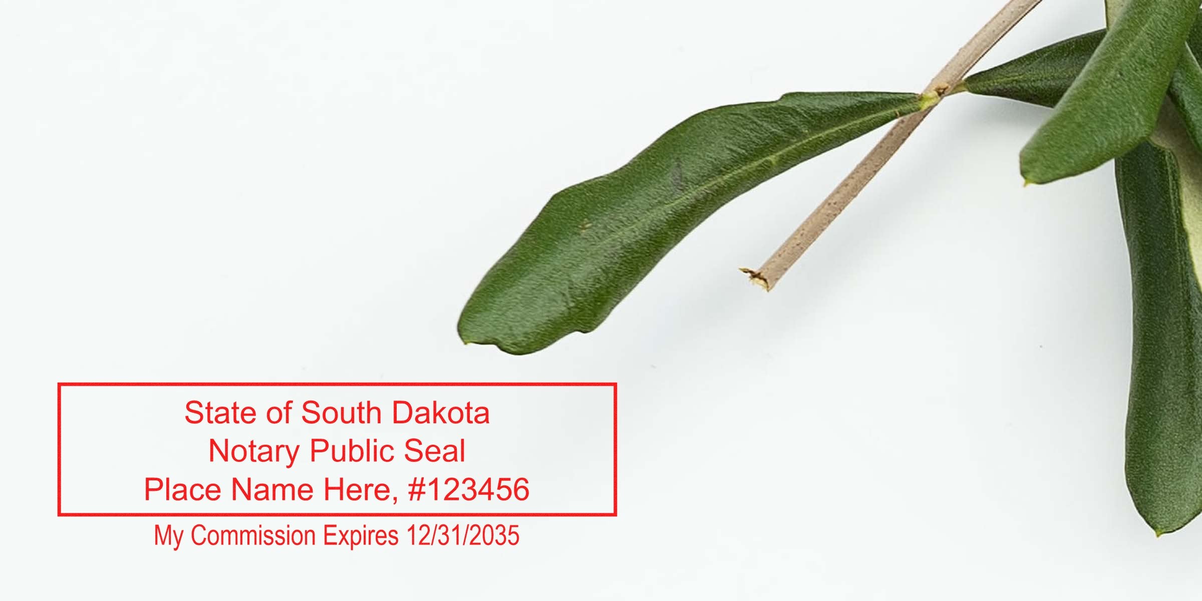 South Dakota notary public seal with commission expiration date, framed by green leaves on white background, highlighting steps to become a notary.