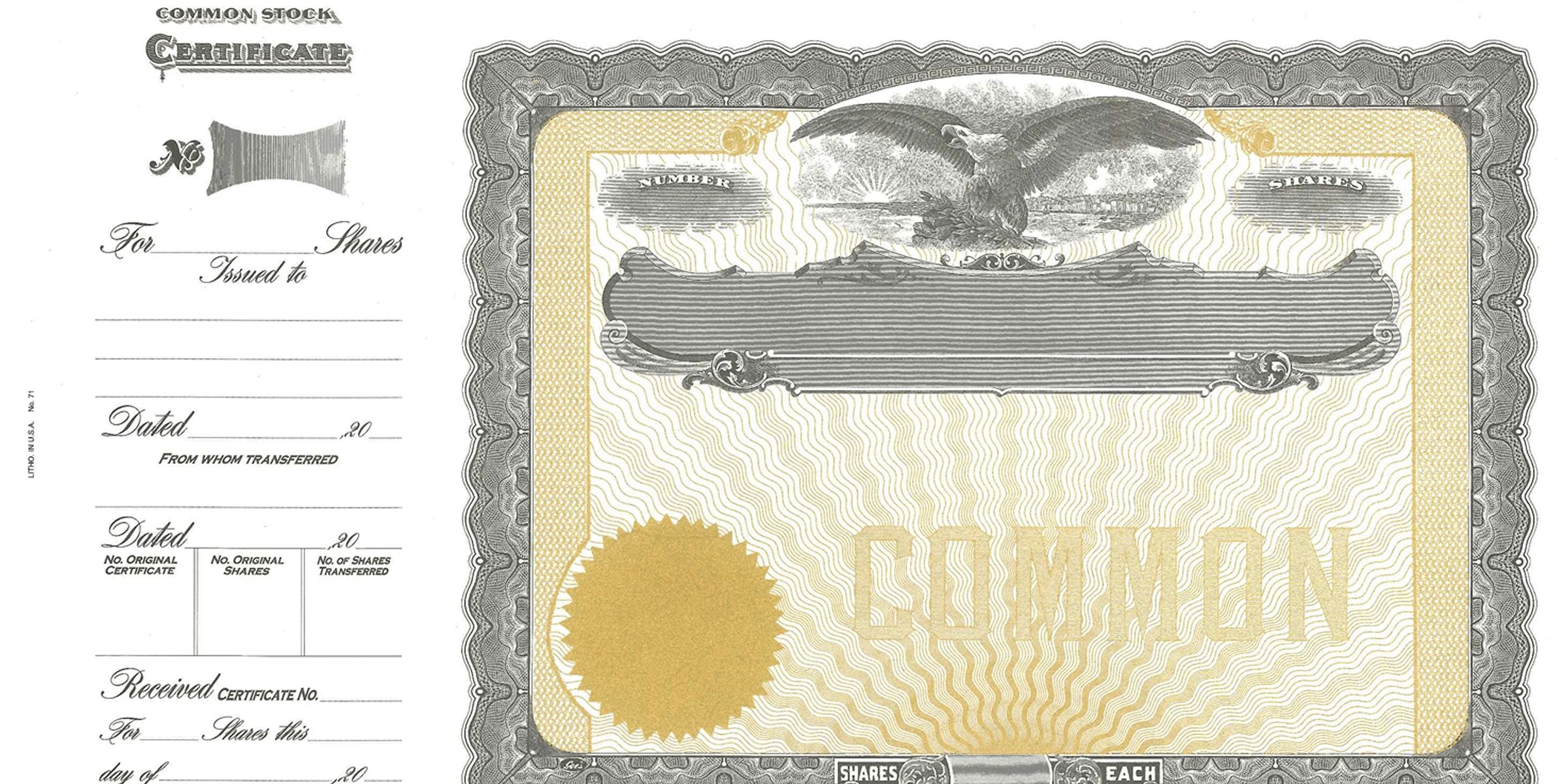 Vintage common stock certificate with ornate gray and gold border, eagle emblem, blank share fields, and formal corporate transfer sections, classic antique stock certificate template for investment and financial document design.