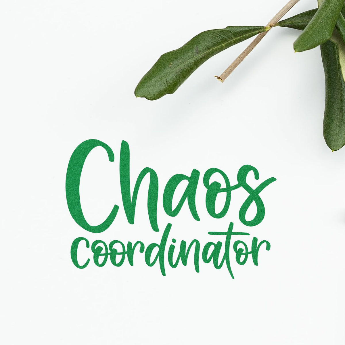 Chaos Coordinator custom rubber stamp design in green script with leafy accent on white background