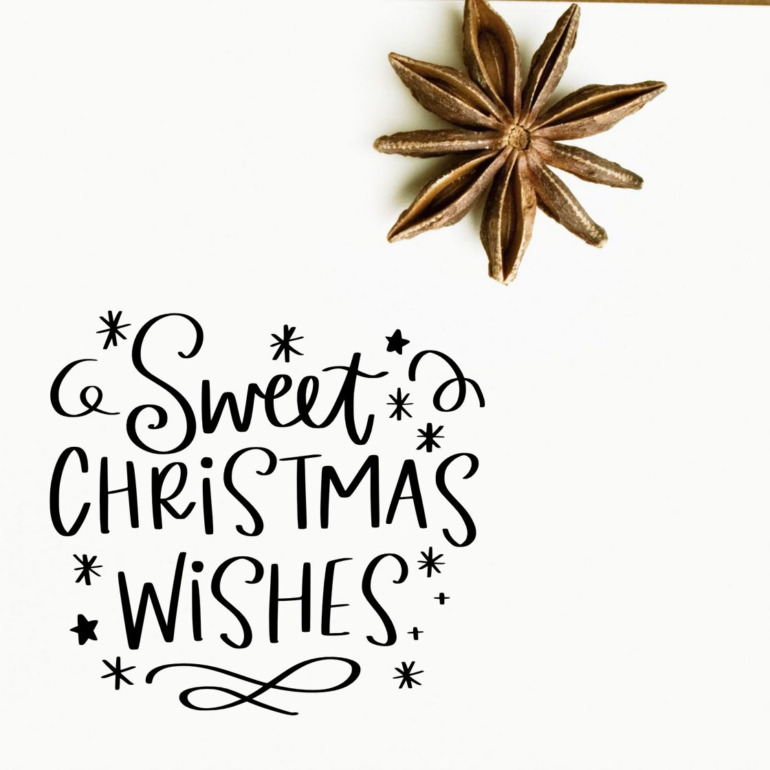 Sweet Christmas Wishes rubber stamp design with festive lettering, stars, and star anise accent for holiday cards.