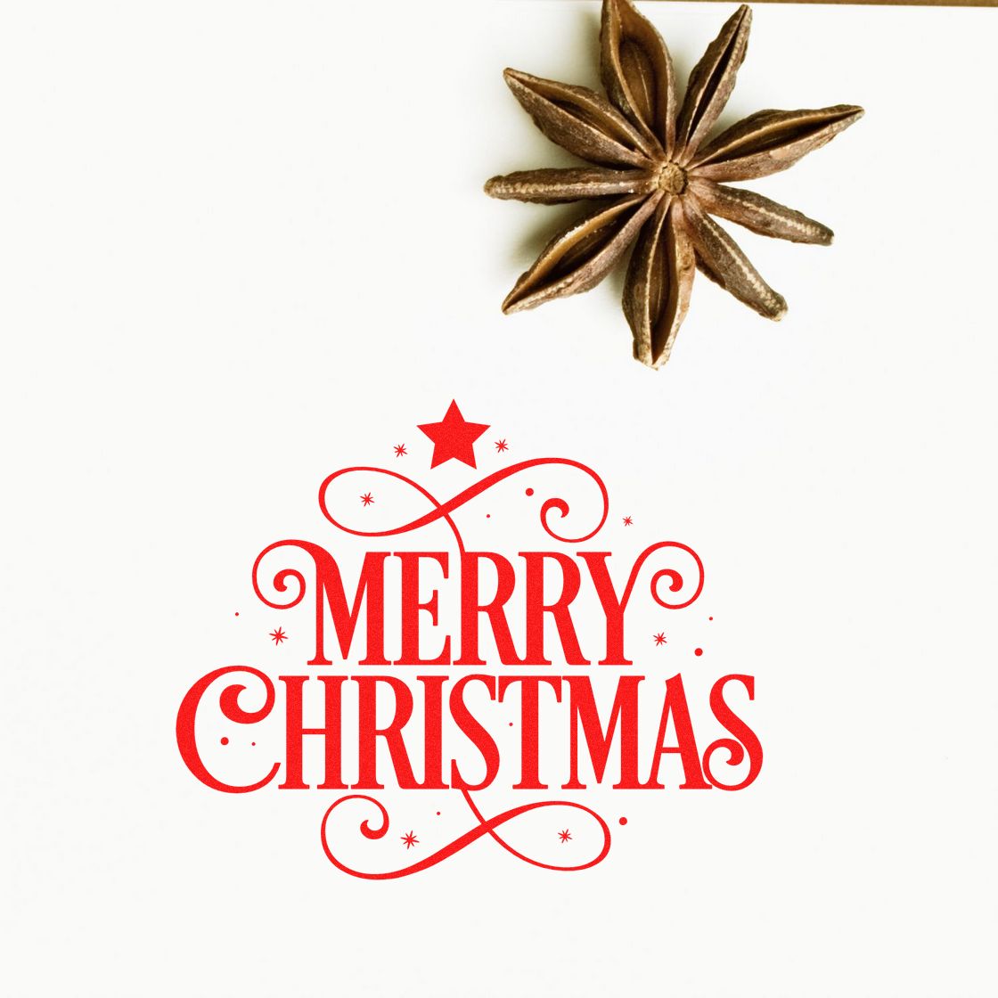 Decorative Merry Christmas rubber stamp design with red festive lettering and star anise holiday spice accent.