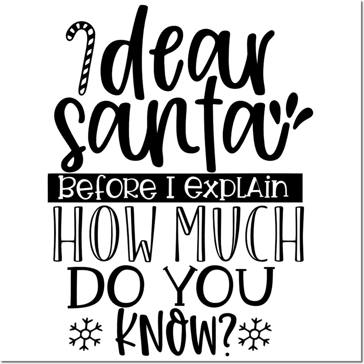 Funny Christmas rubber stamp quote: Dear Santa, before I explain how much do you know? with snowflake accents.