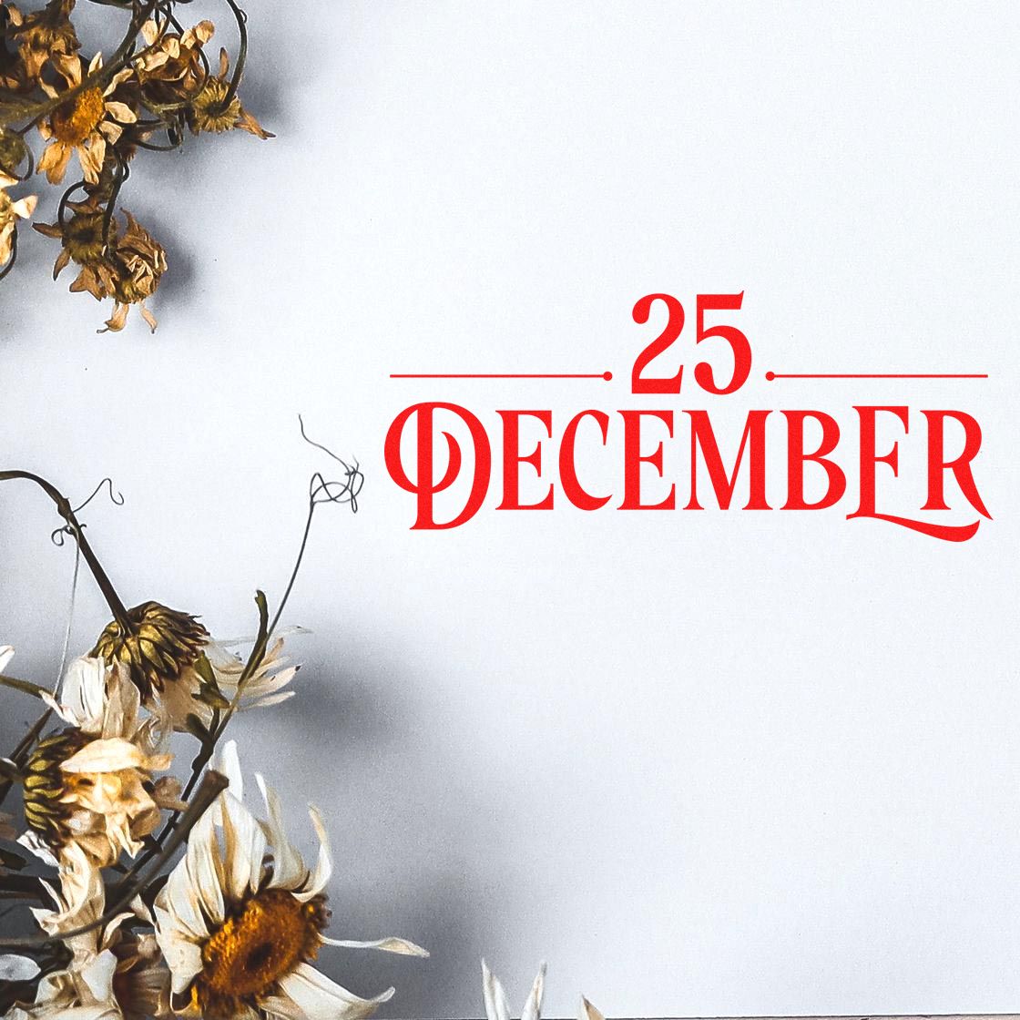 December 25 Christmas rubber stamp design with red holiday date lettering and floral accents on white.