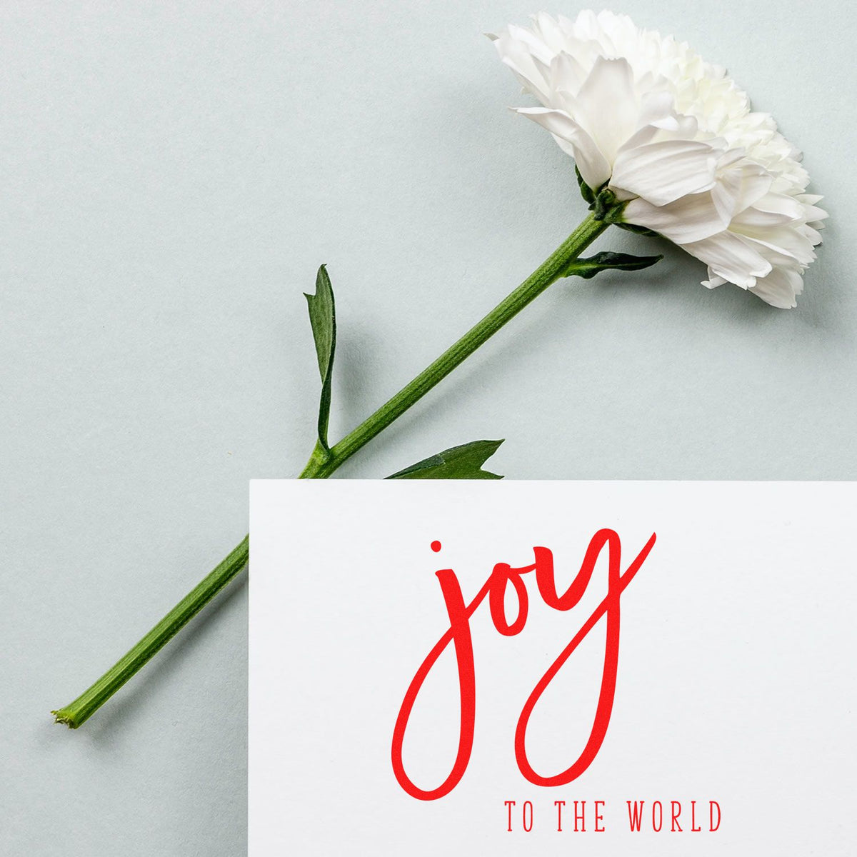 Red Joy to the World Christmas rubber stamp on a floral greeting card with white flower, ideal for holiday card making.