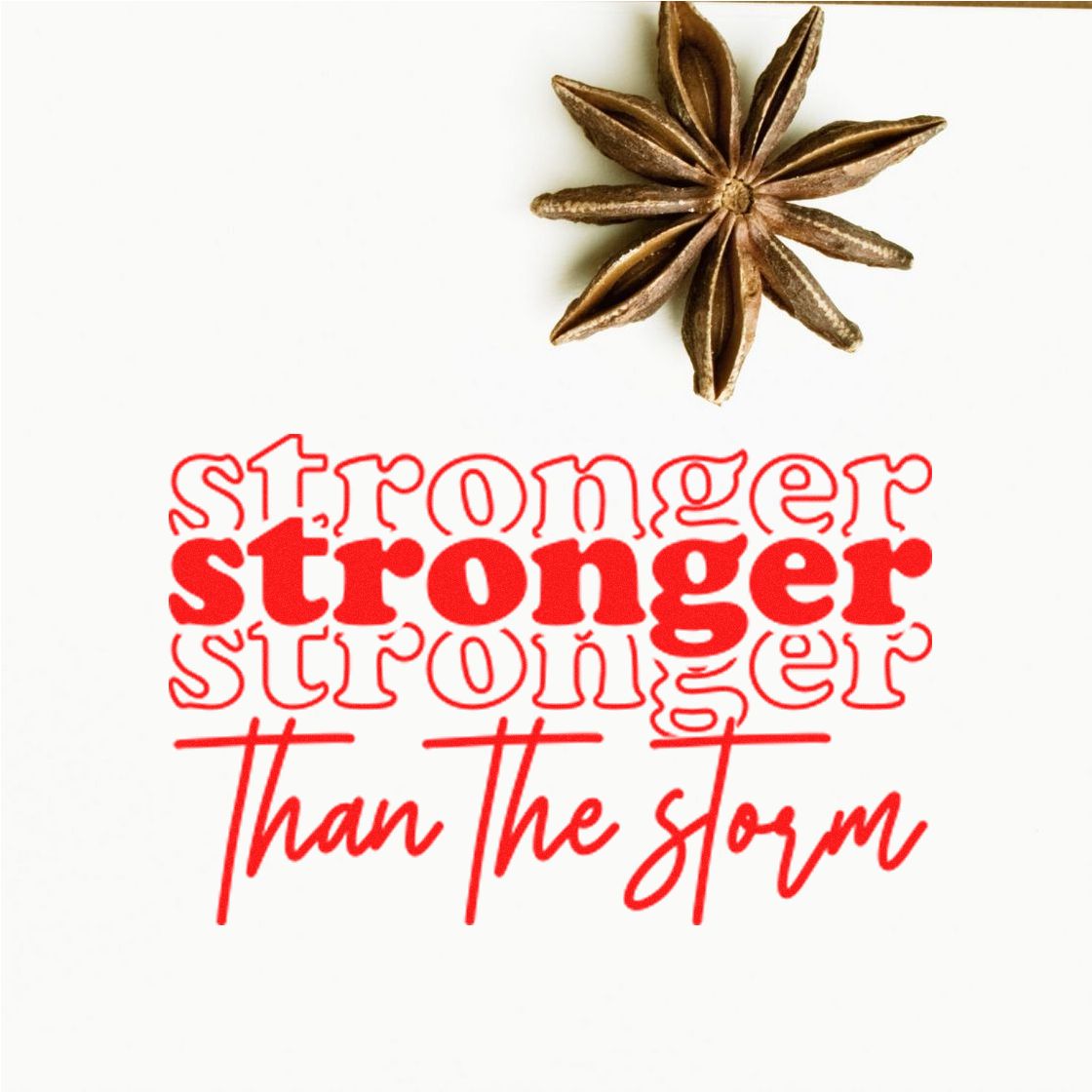 Red rubber stamp design with star anise and the quote stronger than the storm for handmade cards.
