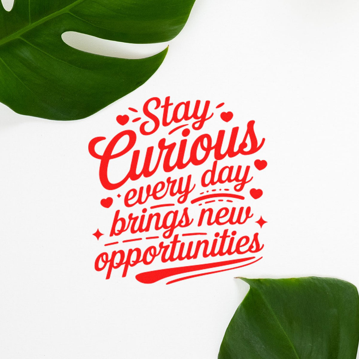 Stay Curious rubber stamp with inspirational quote, every day brings new opportunities, for journaling and crafting.