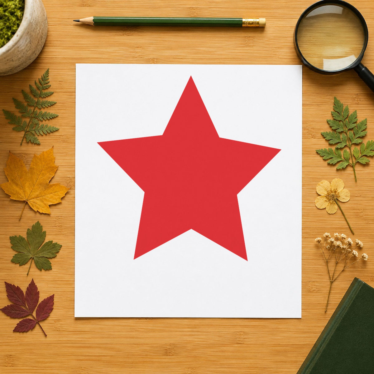 "Star" imprint stamped on a document with the Star Stamp – Round Red Pre-Inked Xstamper