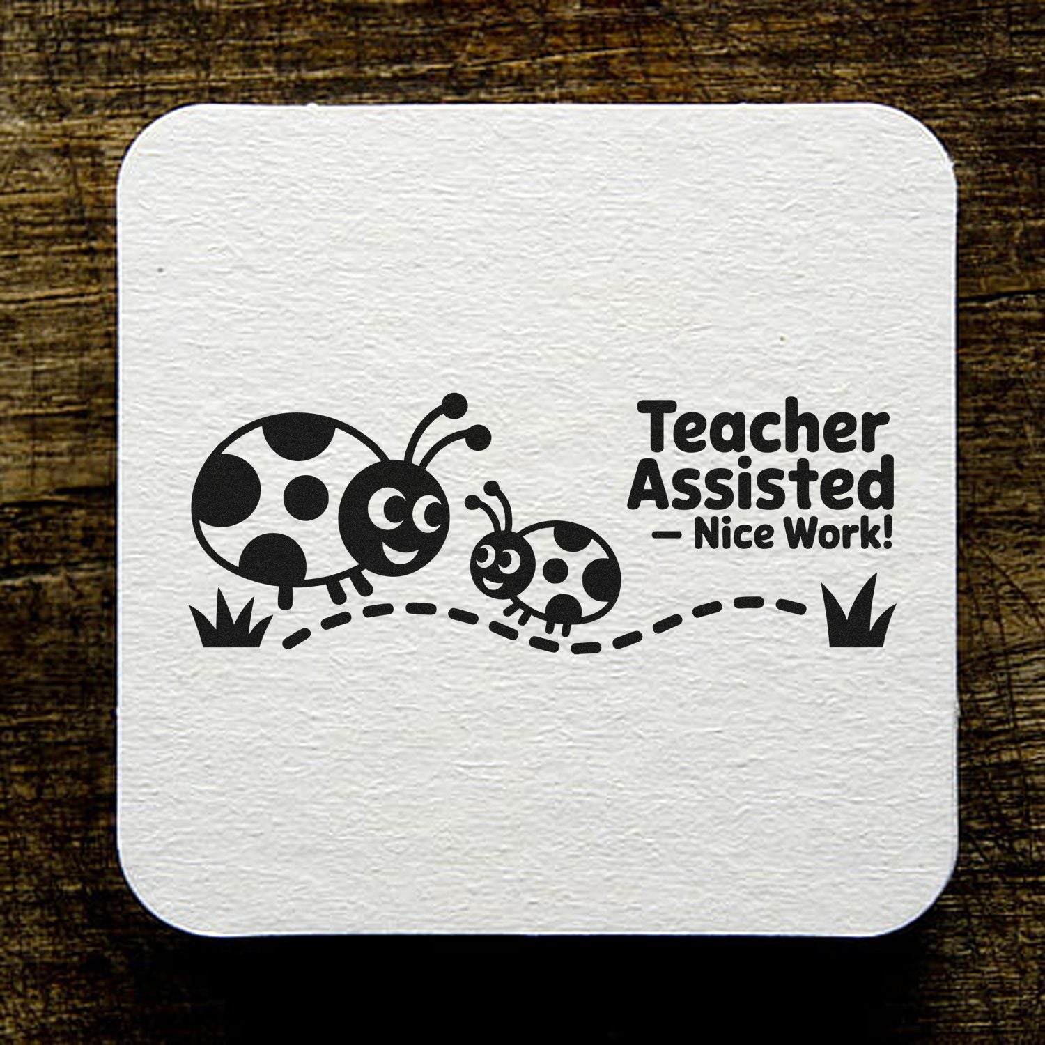 Teacher Assisted Nice Work! rubber stamp with cute ladybug design for classroom praise and student work feedback