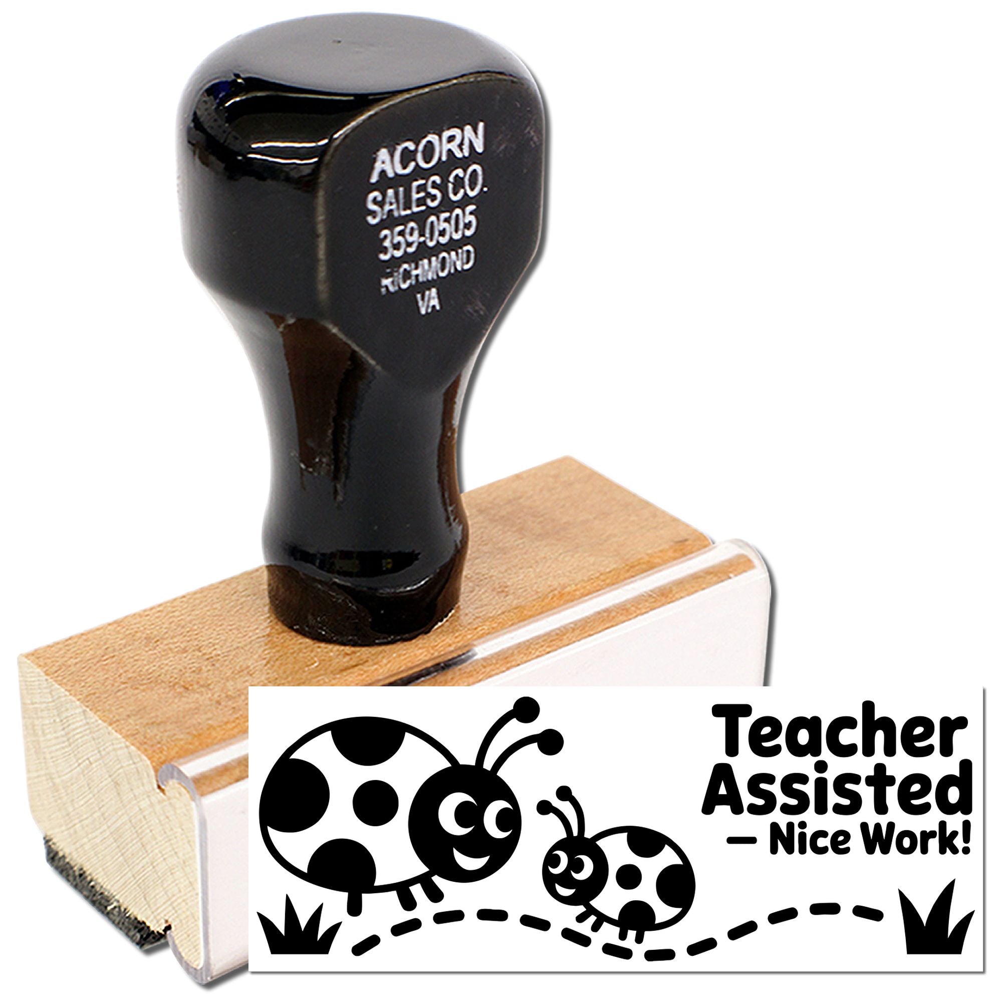 Custom rubber stamp for teachers: "Teacher Assisted Nice Work" classroom feedback with ladybug design.