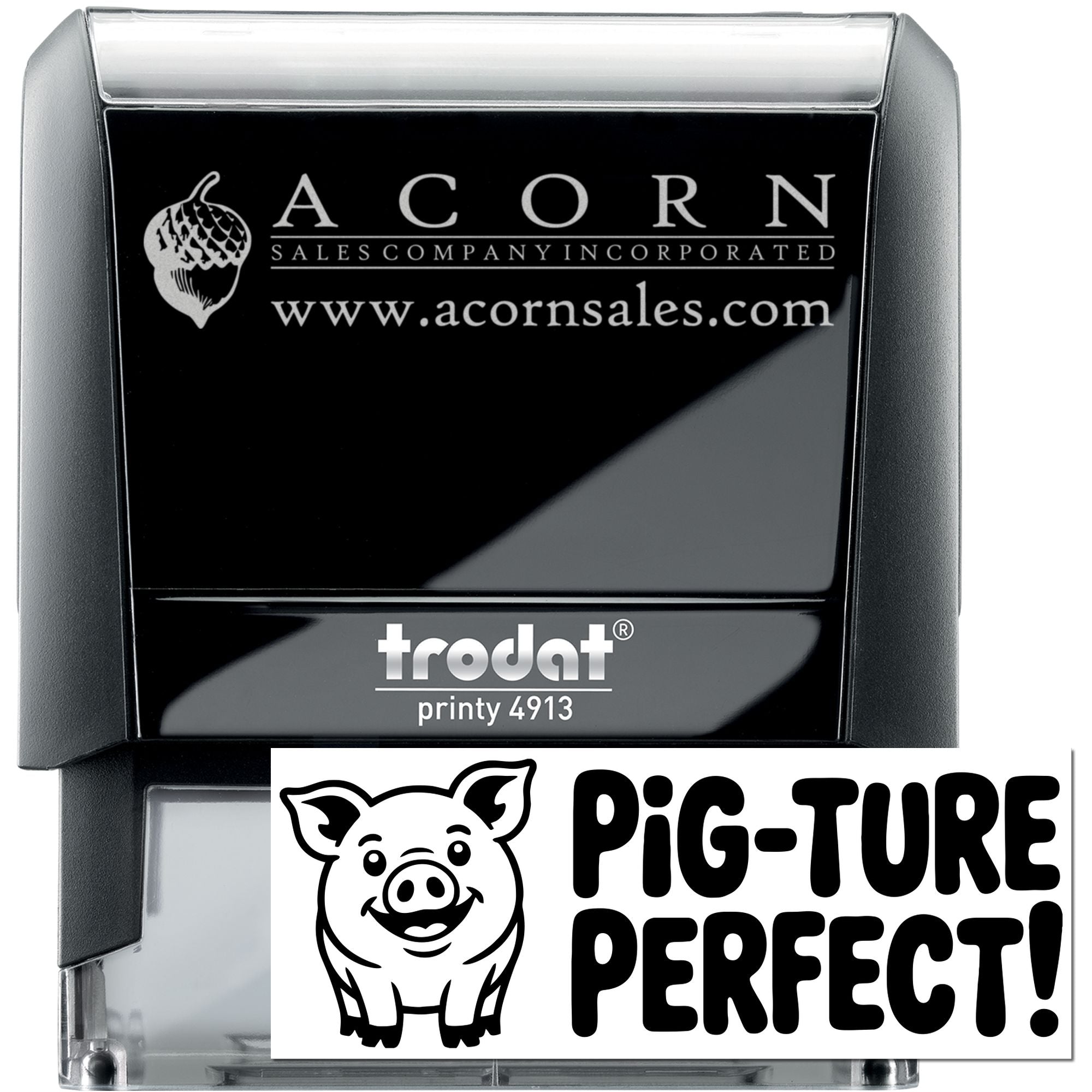 Classroom Reward Pig-Ture Perfect Self-Inking Stamp