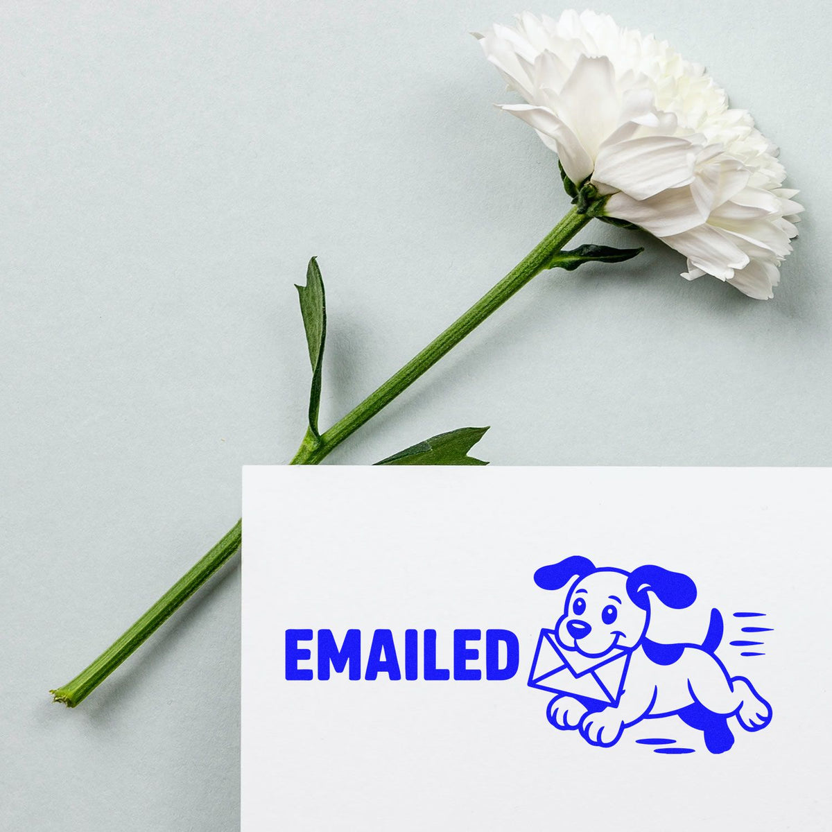 Custom EMAILED rubber stamp with dog and envelope design on white card beside a white flower