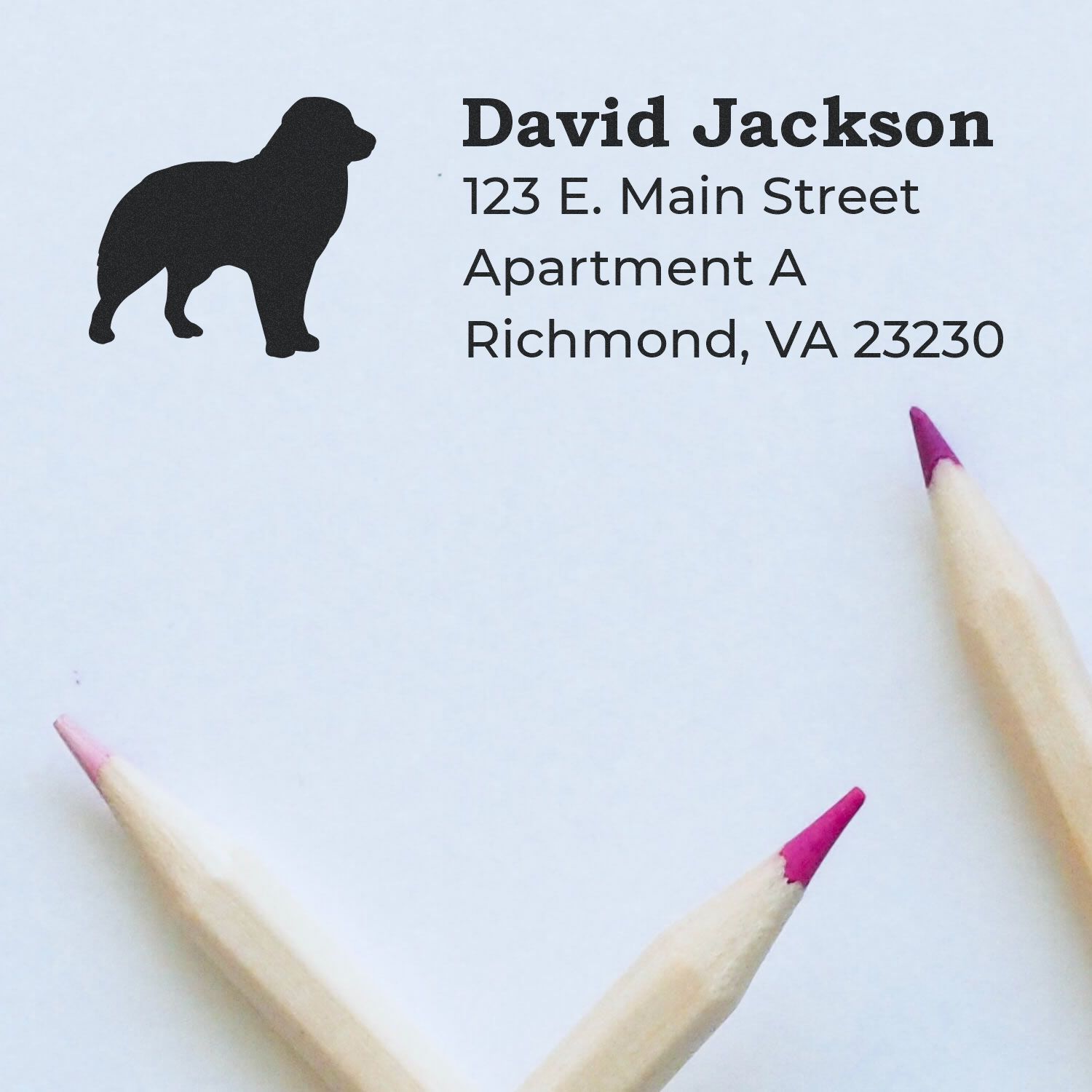 Custom dog address rubber stamp with David Jackson, 123 E. Main Street, Apartment A, Richmond, VA 23230.