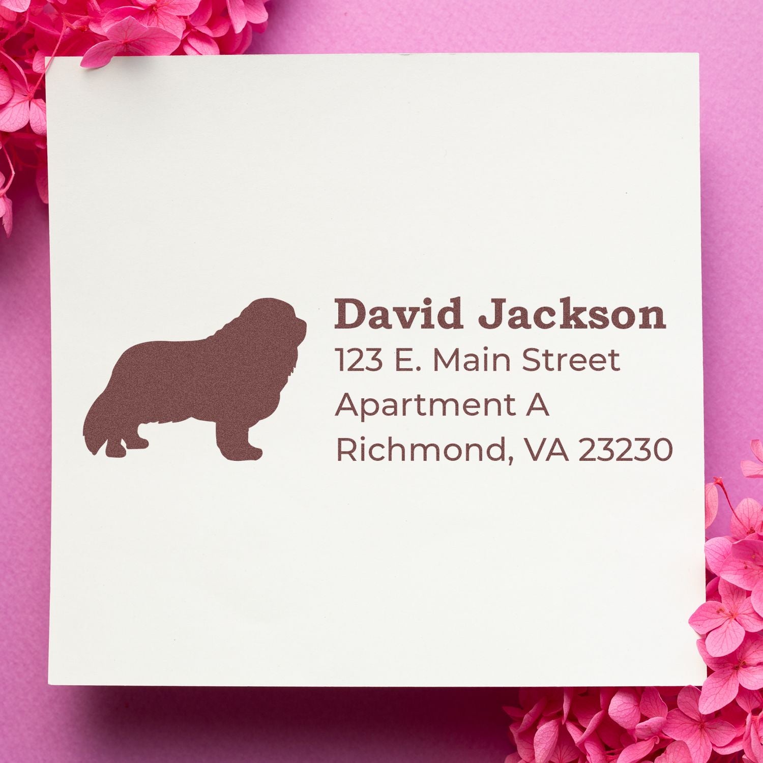 Custom dog rubber stamp with return address for David Jackson, Richmond, VA on a white card with pink floral background.