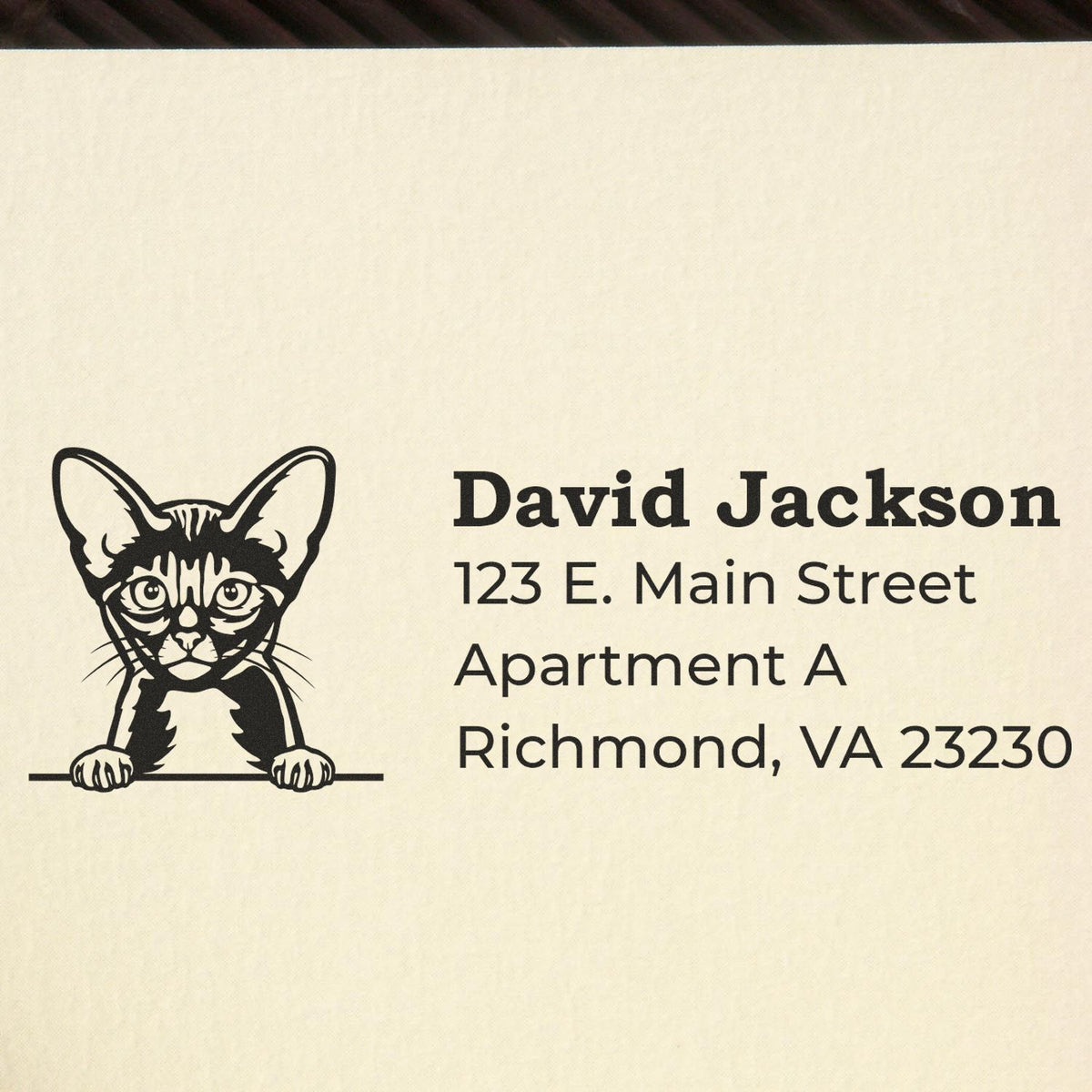 Custom cat return address rubber stamp with David Jackson, 123 E. Main Street, Apartment A, Richmond, VA 23230