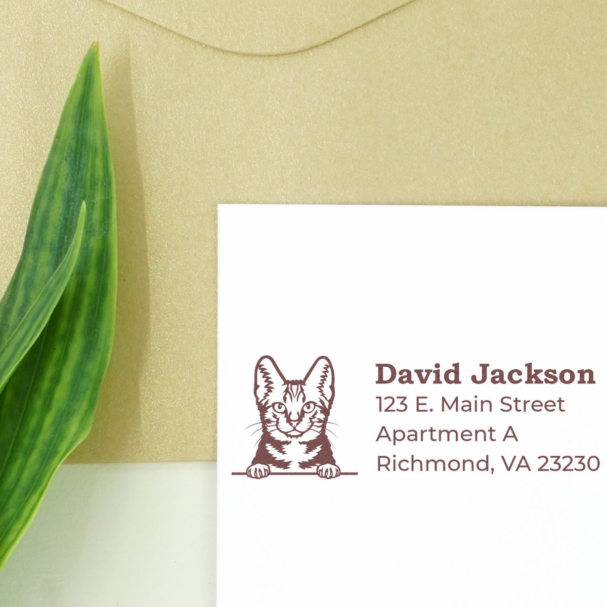 Custom cat address rubber stamp on envelope with David Jackson return address, Richmond VA, for personalized mailing.