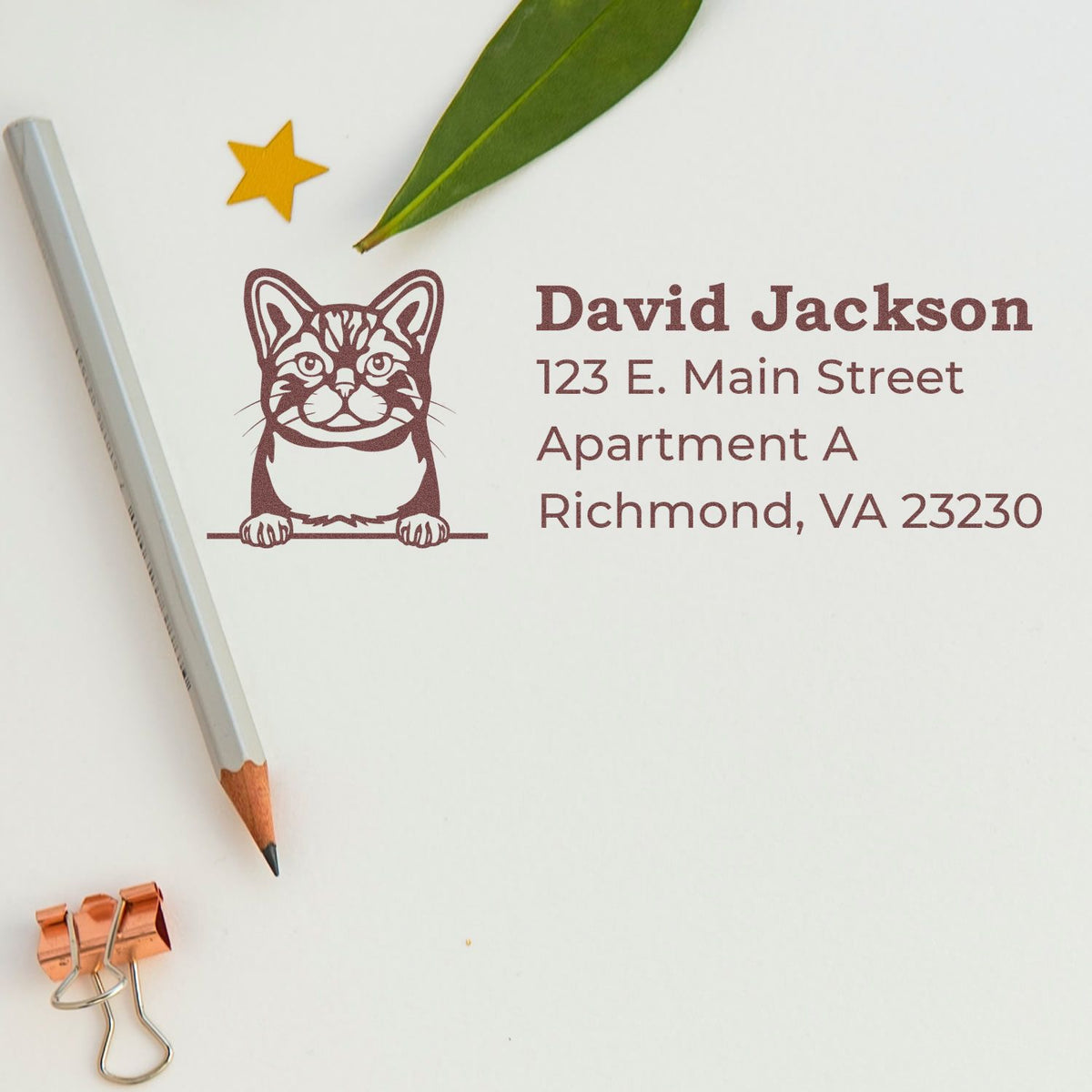Custom cat return address rubber stamp with David Jackson name and Richmond, VA address for personalized mailing and stationery.