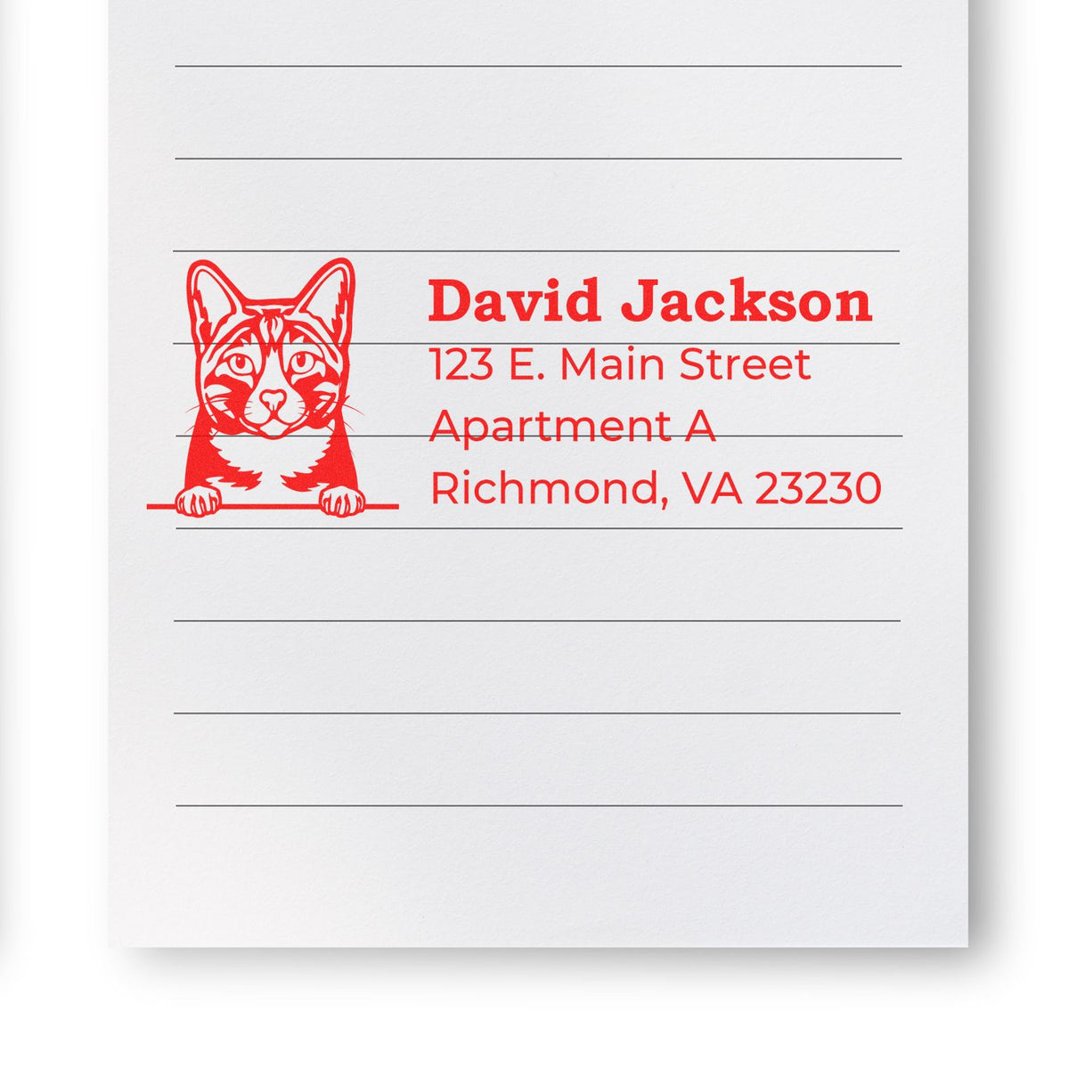 Custom cat return address rubber stamp with David Jackson, 123 E. Main Street Apt A, Richmond, VA 23230.