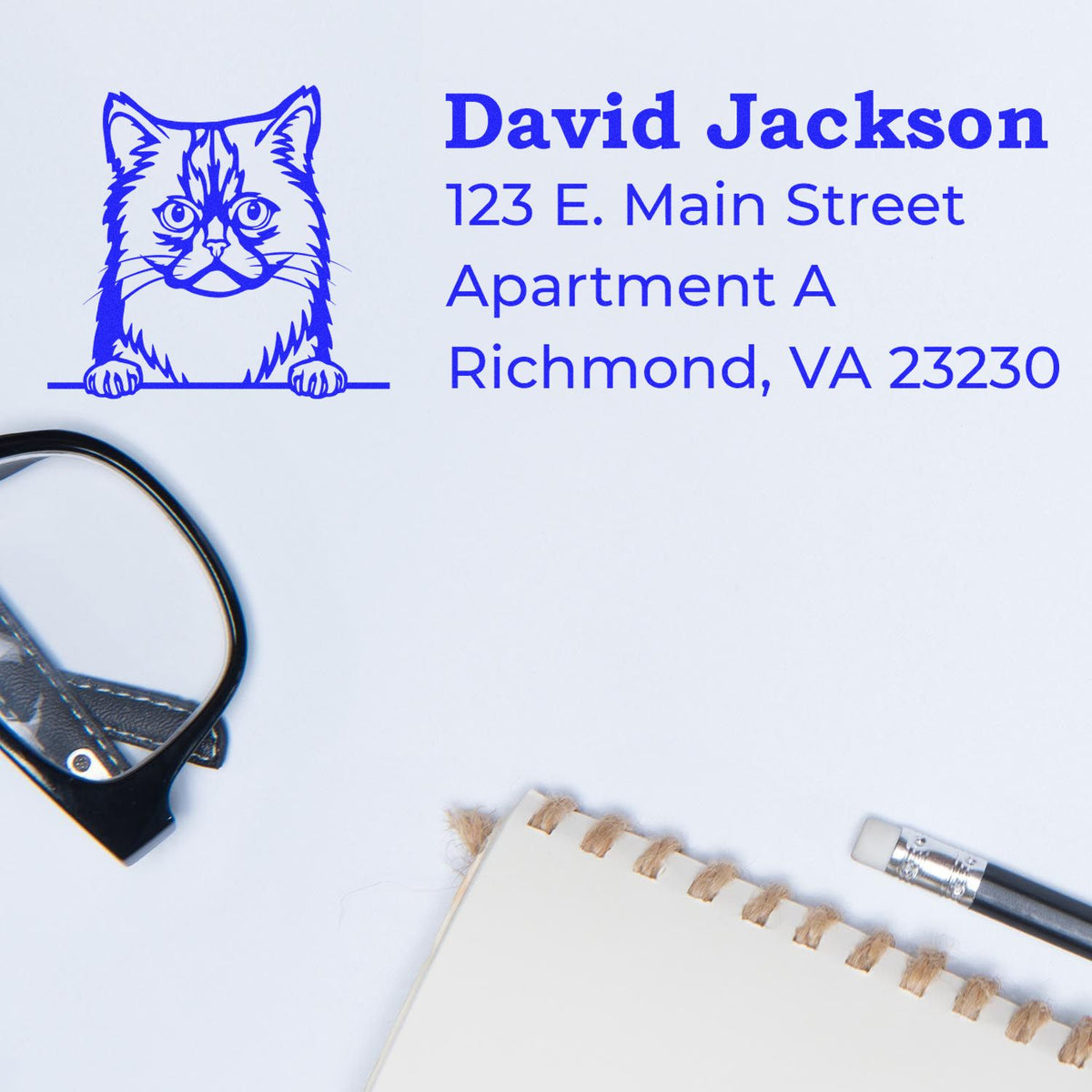 Personalized cat return address rubber stamp with David Jackson and Richmond, VA 23230