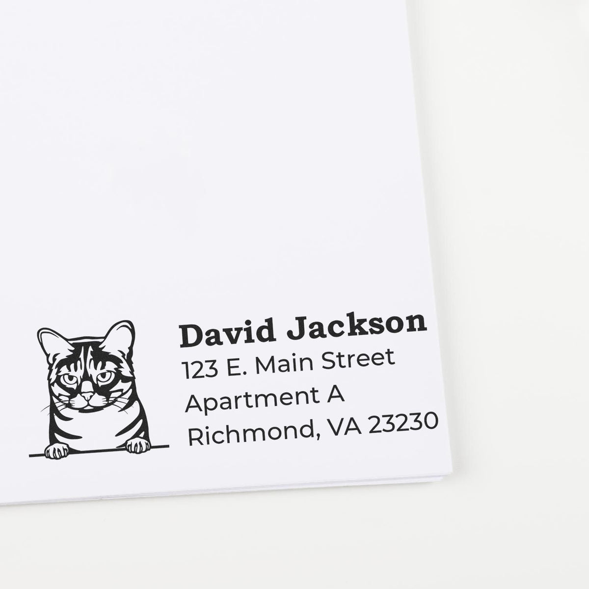 Custom cat address rubber stamp with name and Richmond, VA mailing address on white paper.