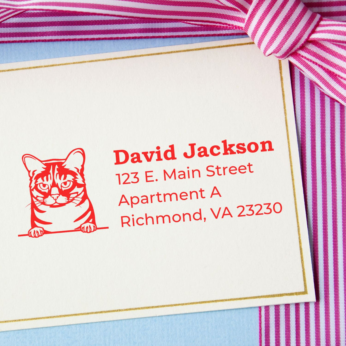 Custom cat address rubber stamp for David Jackson, Richmond VA, used for return-address stationery and invitations.