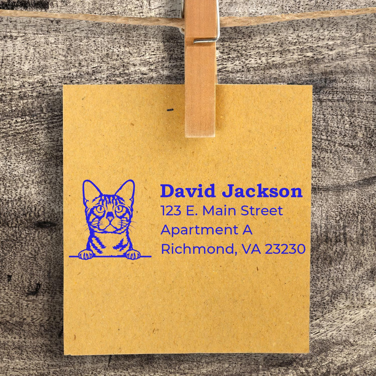 Custom return address rubber stamp with cat design on kraft envelope for personalized pet-themed mailing.