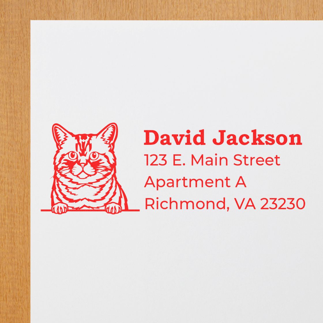 Custom cat rubber stamp return address with David Jackson, 123 E. Main Street, Richmond, VA 23230 for envelopes.