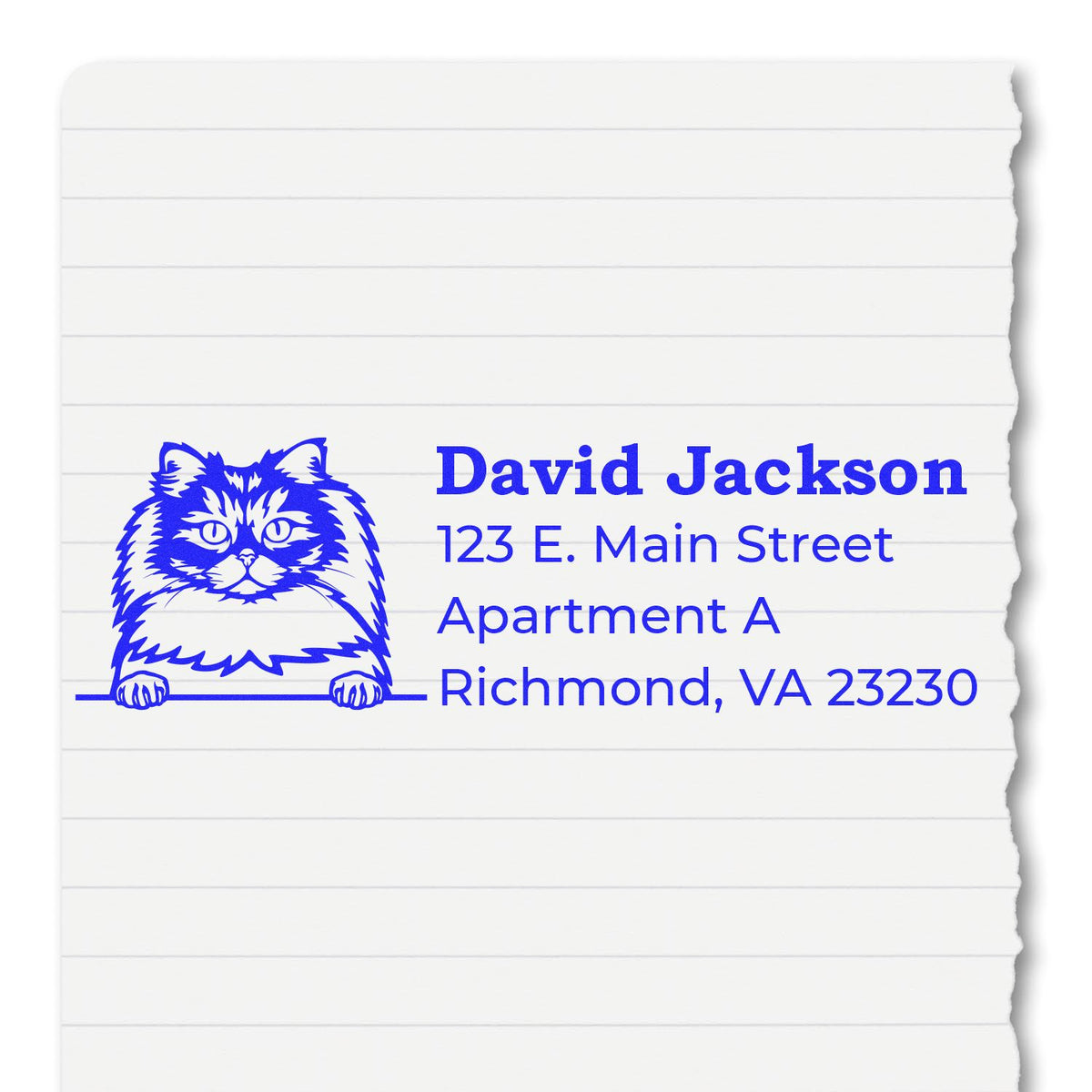 Custom cat return address rubber stamp for David Jackson, 123 E. Main Street Apt A, Richmond, VA 23230.