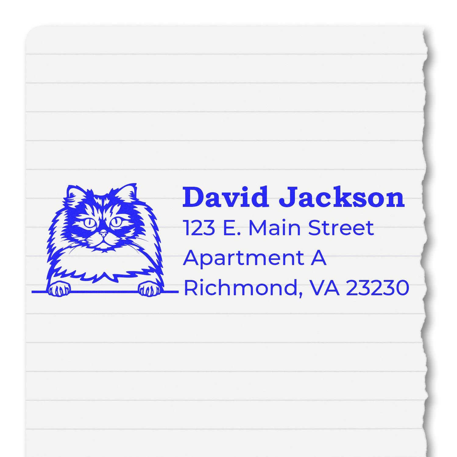 Custom cat address rubber stamp for David Jackson, 123 E. Main Street Apartment A, Richmond, VA 23230.