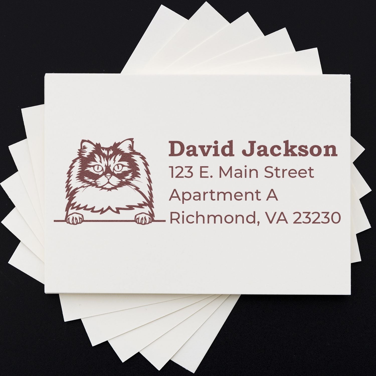 Custom cat return address rubber stamp on stacked cards, featuring personalized name, street address, and city for mailing use.