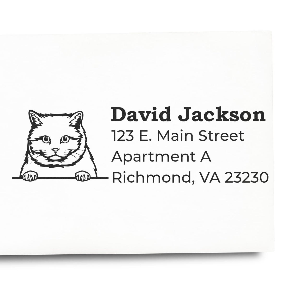 Custom cat address rubber stamp for David Jackson, 123 E. Main Street Apt A, Richmond, VA 23230.