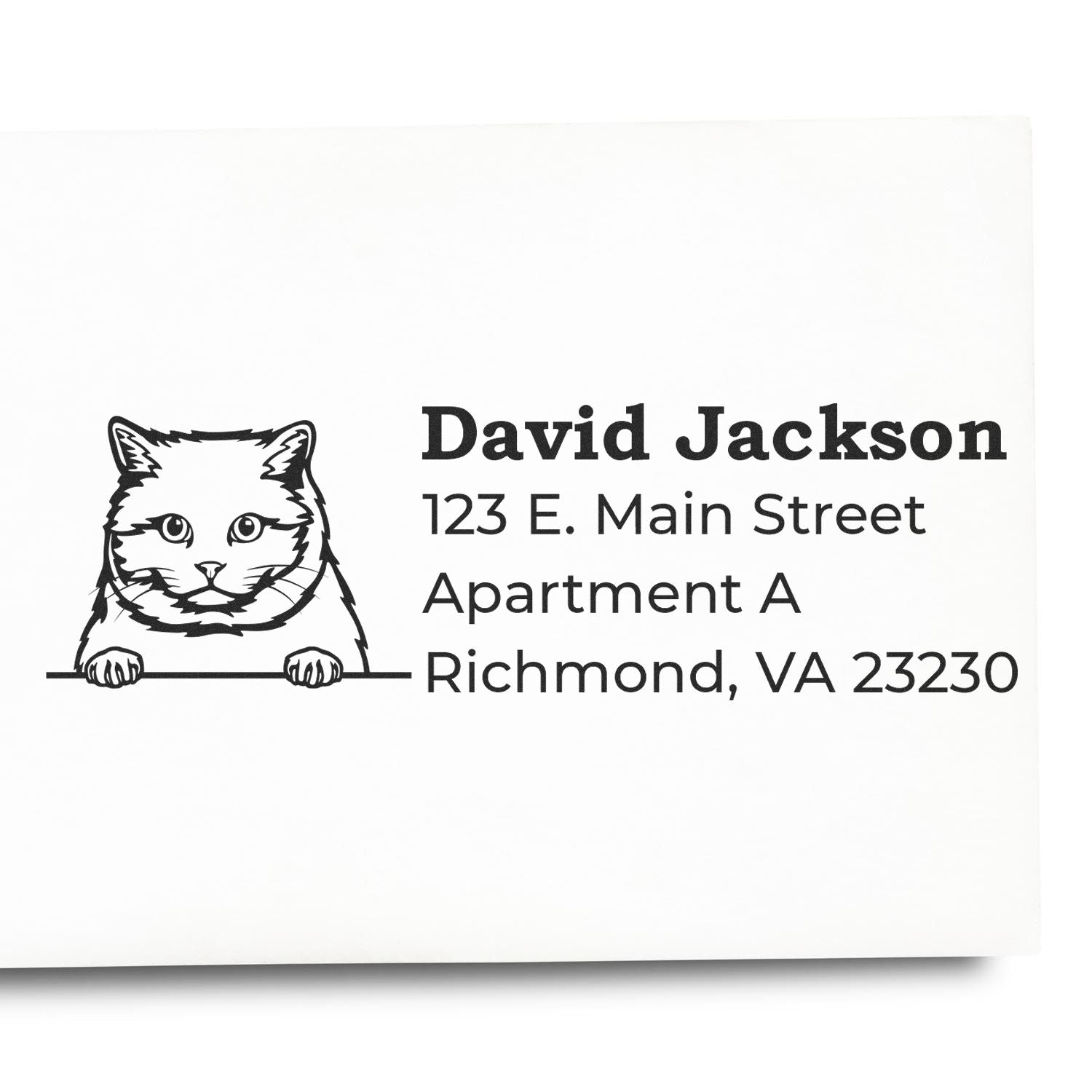 Custom cat return address rubber stamp with David Jackson, 123 E. Main Street, Apartment A, Richmond, VA 23230