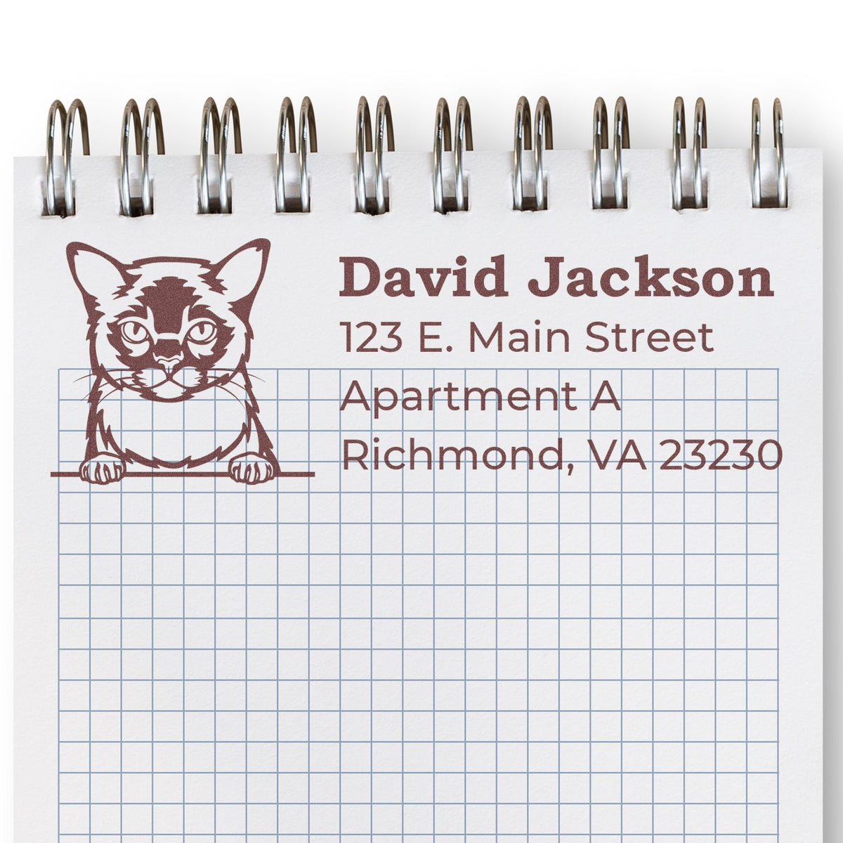 Personalized cat address rubber stamp design for return mail, featuring David Jacksons name, street, apartment, and Richmond, VA ZIP code.