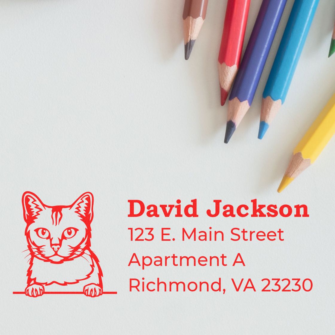 Custom rubber stamp with cat logo and return address for David Jackson in Richmond, VA, for envelopes and stationery.