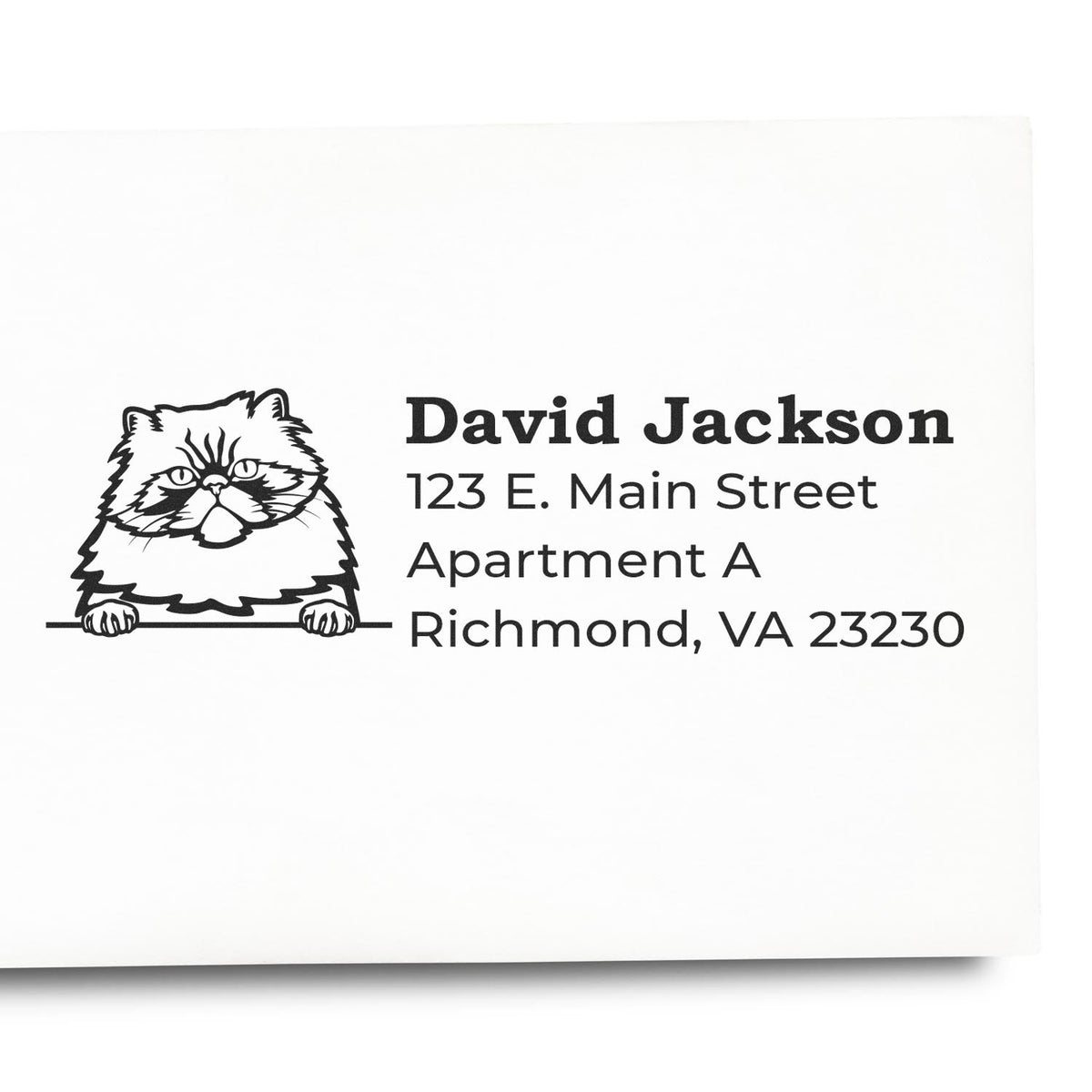 Custom rubber return address stamp with cat illustration, David Jackson, 123 E. Main Street, Apartment A, Richmond, VA 23230
