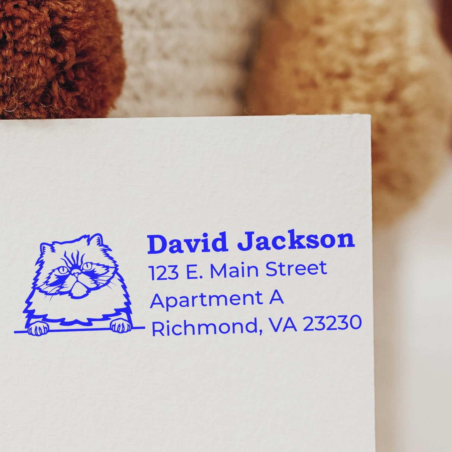 Custom cat return address rubber stamp with personalized name, apartment address, and Richmond, VA in blue ink on paper.