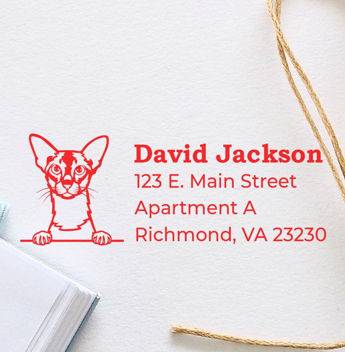 Custom cat return address rubber stamp for David Jackson, 123 E. Main St., Apartment A, Richmond, VA 23230.