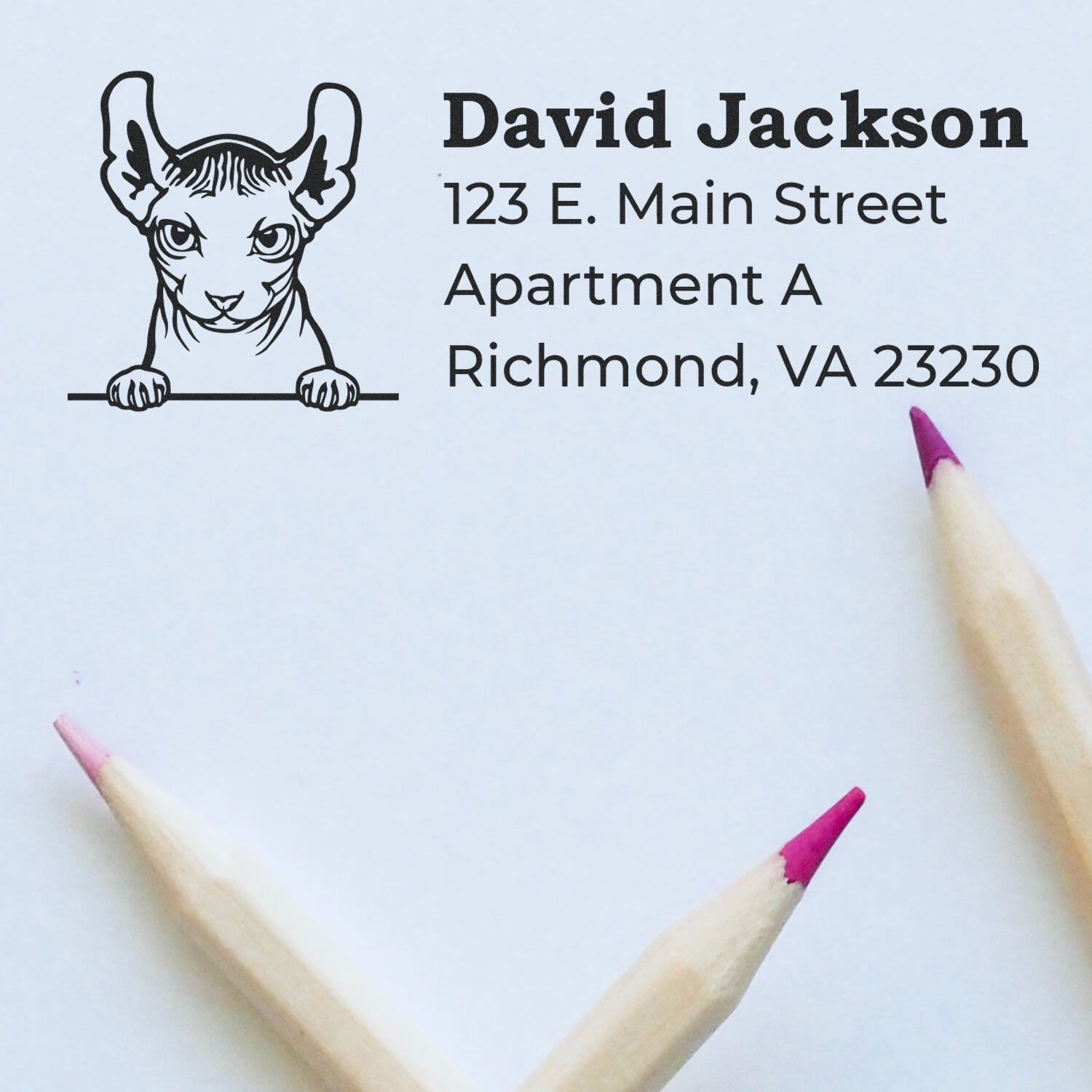Personalized cat address rubber stamp proof for David Jackson, Richmond, VA 23230 mailing address.