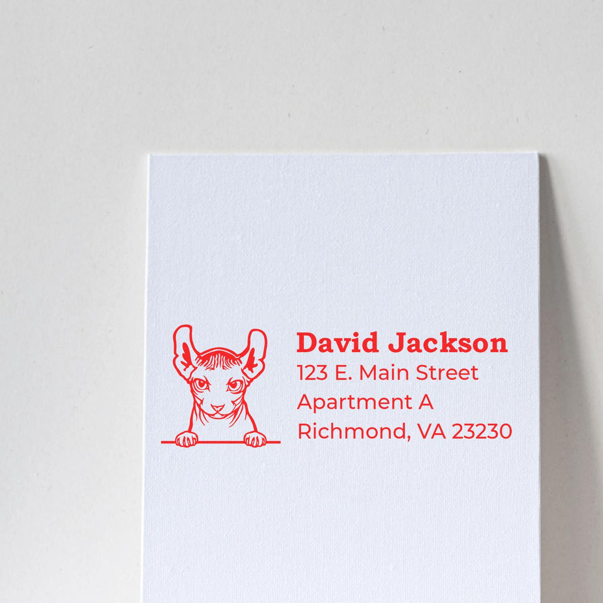 Personalized rubber address stamp with cat design and David Jackson return address for envelopes.
