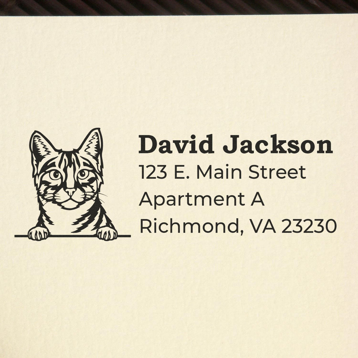 Personalized cat address rubber stamp for David Jackson, 123 E. Main Street, Apartment A, Richmond, VA 23230.