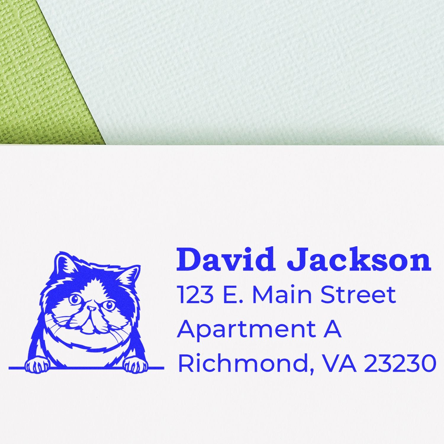 Custom rubber address stamp with cat illustration and David Jackson return address, Richmond VA, in blue ink.