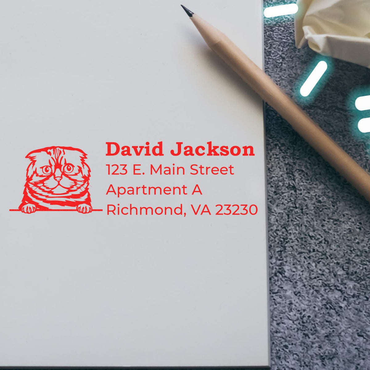 Custom cat address rubber stamp for David Jackson, featuring name and Richmond, VA 23230 return address.